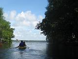 C Everglades 006 : Everglades
